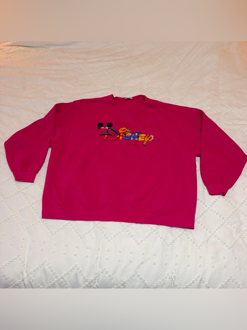 Vintage Walt Disney World Sweatshirt Plus Size Pink Characters Lined Cozy Themed